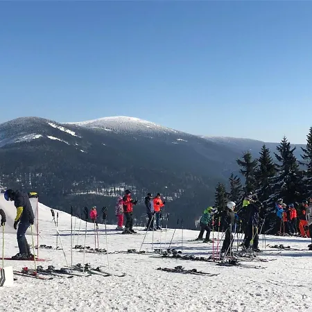 561 By Interhome * Harrachov